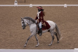 Lusitano Breed Society of Great Britain Show - Hartpury College - 27th June 2009